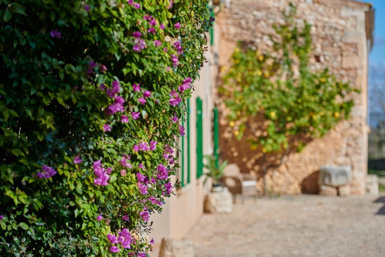 Ferienhaus Son Oliver By Mallorca House Rent Felanitx